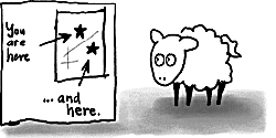 nervous-sheep.gif